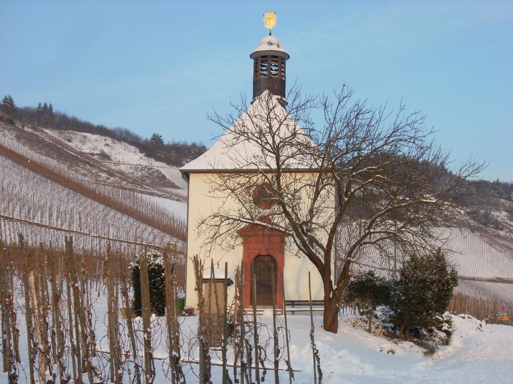 Alloggio in famiglia Der Weinladen